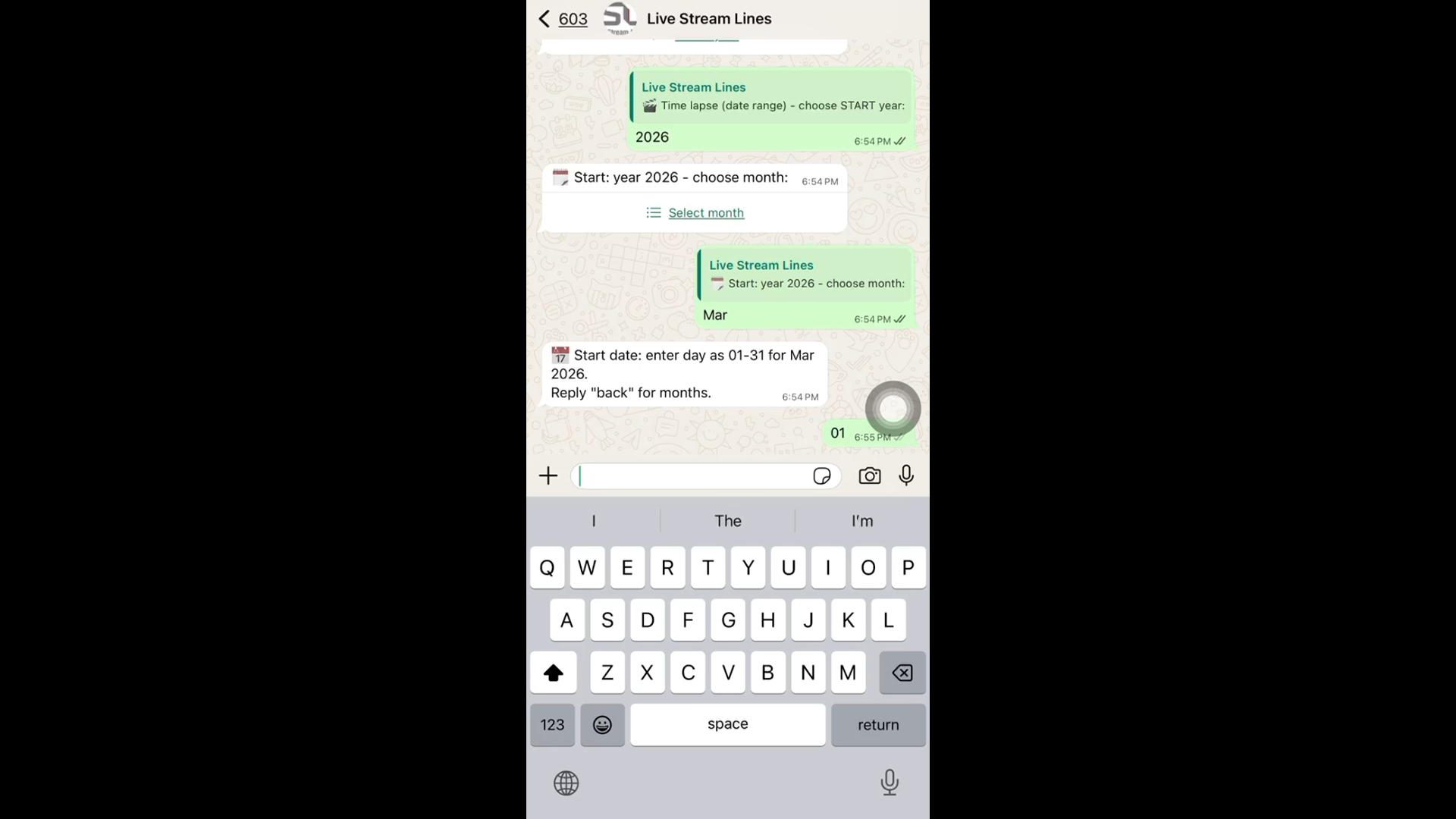 WhatsApp bot time-lapse flow